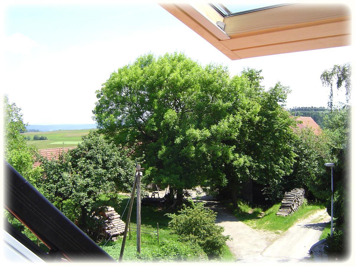 Gasthof Hotel Traube Oberndorf am Neckar Cameră foto